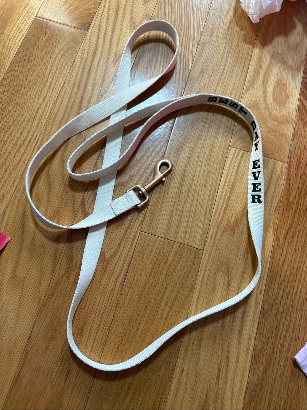 'Best Day Ever' White Cotton Dog Leash with Brass Clip